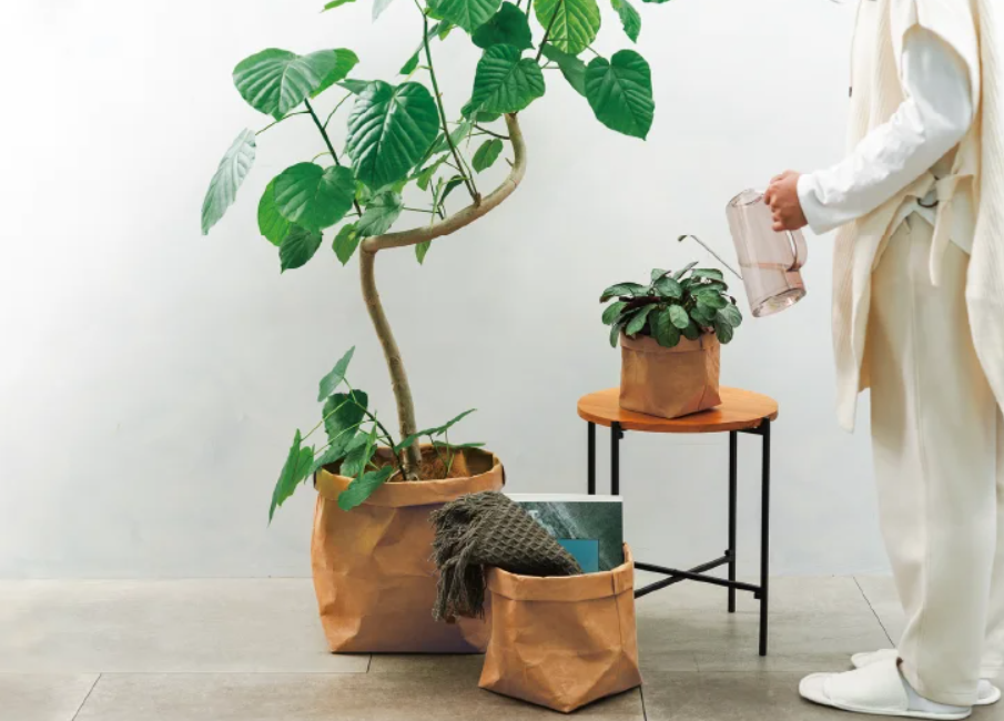 鉢カバーの選び方を詳しく解説！使い方とともに注意点も紹介  