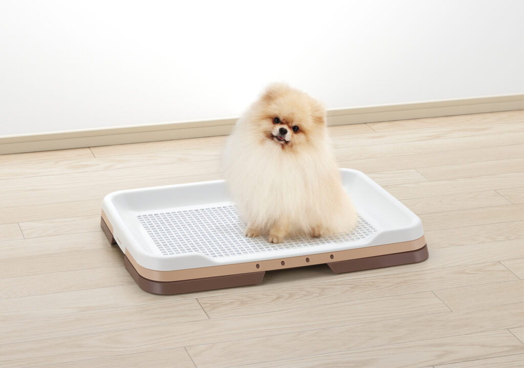 犬用トイレトレーの選び方を形状やサイズの目安とともに紹介！掃除し 