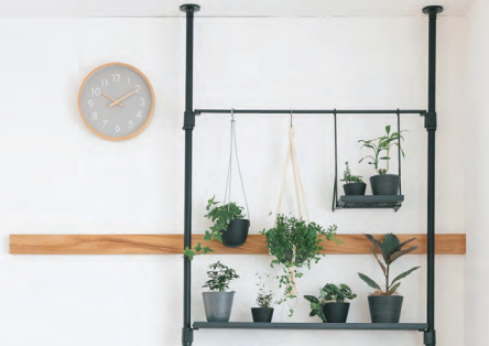 突っ張り棒を使って飾っている観葉植物