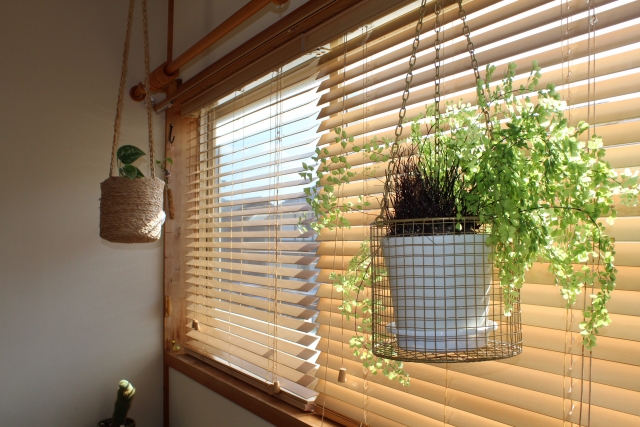 賃貸に吊るしている観葉植物