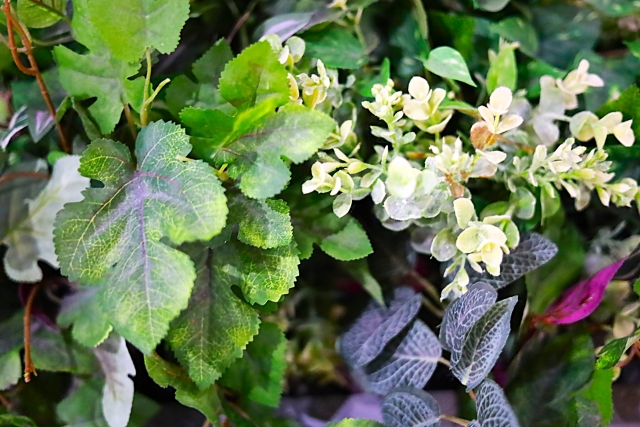 おしゃれに寄せ植えされた観葉植物