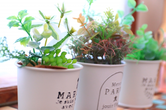 部屋に飾られた観葉植物の寄せ植え