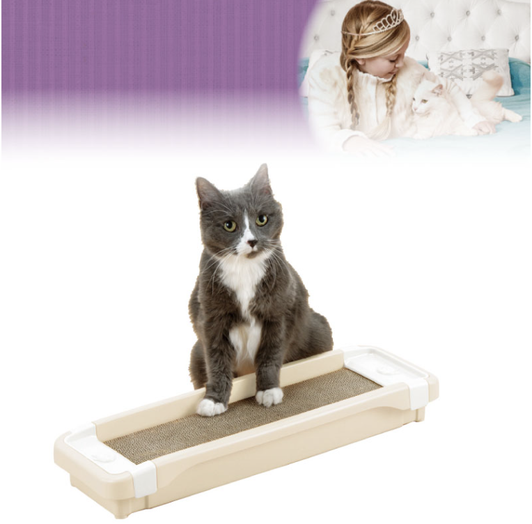 猫を飼うのに必要なものリスト！初めての人が揃えるべきおすすめグッズ 