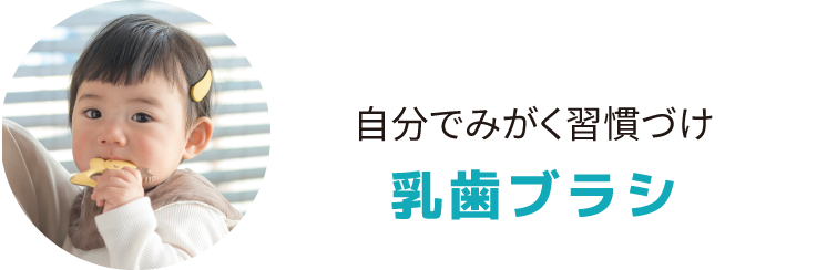 自分でみがく習慣づけ 乳歯ブラシ