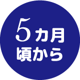 5カ月頃から